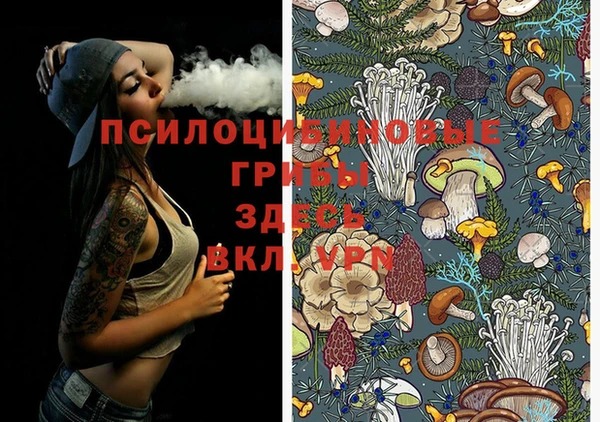 прущие грибы Алзамай