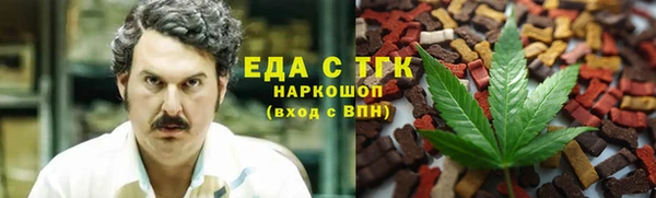 хмурый Алексин