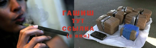 прущие грибы Алзамай