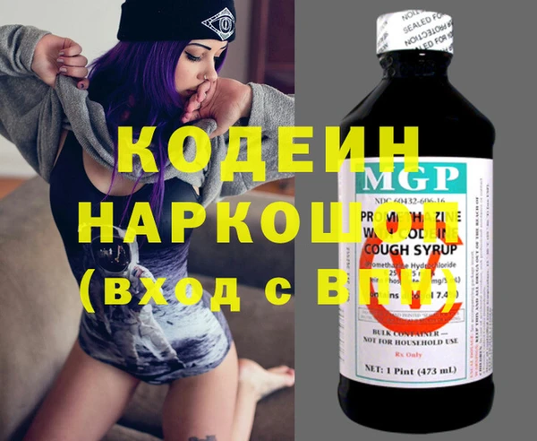 хмурый Алексин