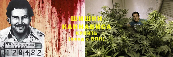 прущие грибы Алзамай