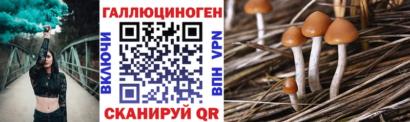 Псилоцибиновые грибы Magic Shrooms Омутнинск